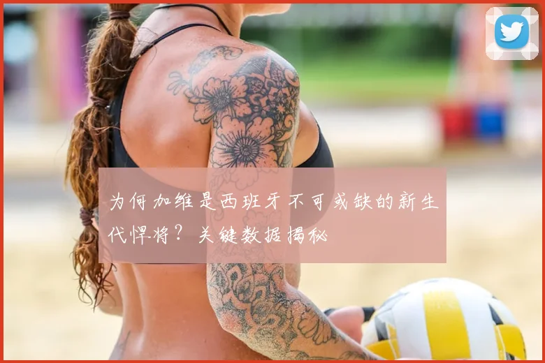 为何加维是西班牙不可或缺的新生代悍将？关键数据揭秘