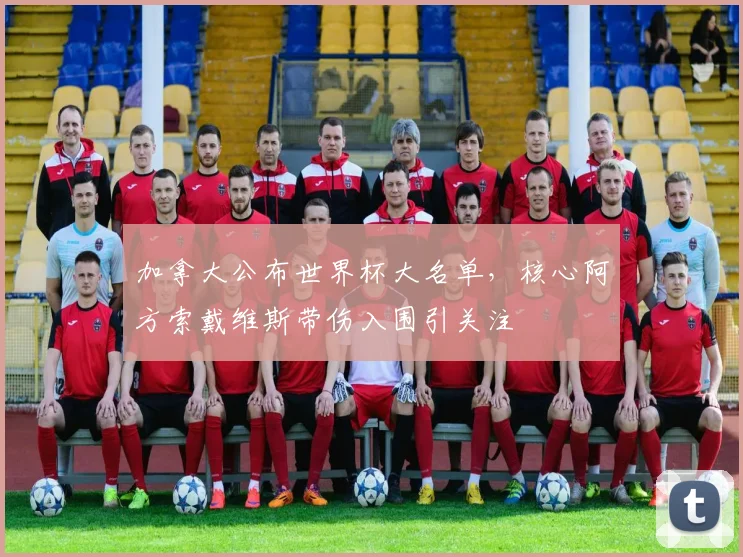 加拿大公布世界杯大名单，核心阿方索戴维斯带伤入围引关注
