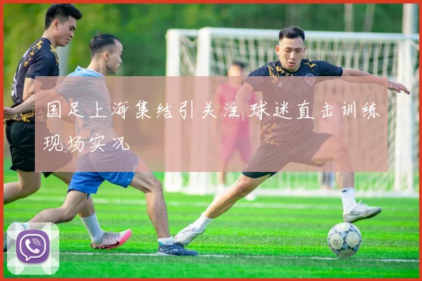 国足上海集结引关注 球迷直击训练现场实况