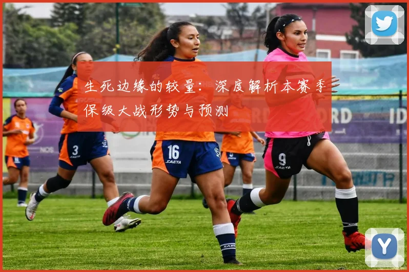 生死边缘的较量:深度解析本赛季保级大战形势与预测