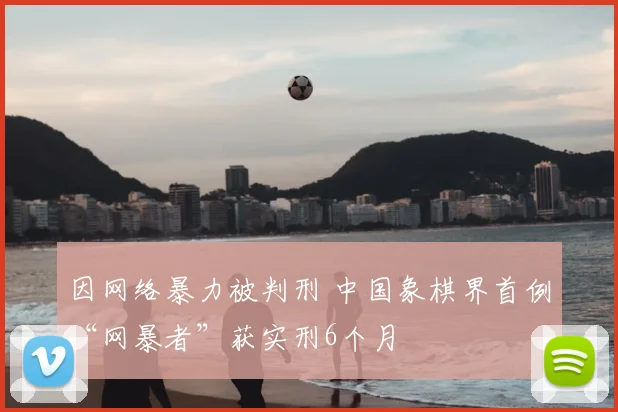 因网络暴力被判刑 中国象棋界首例“网暴者”获实刑6个月